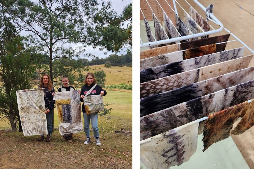 Natural Dyeing and Printing Programs